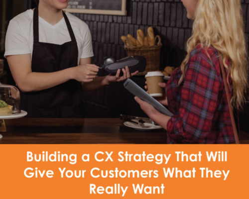 CX Strategy Guide